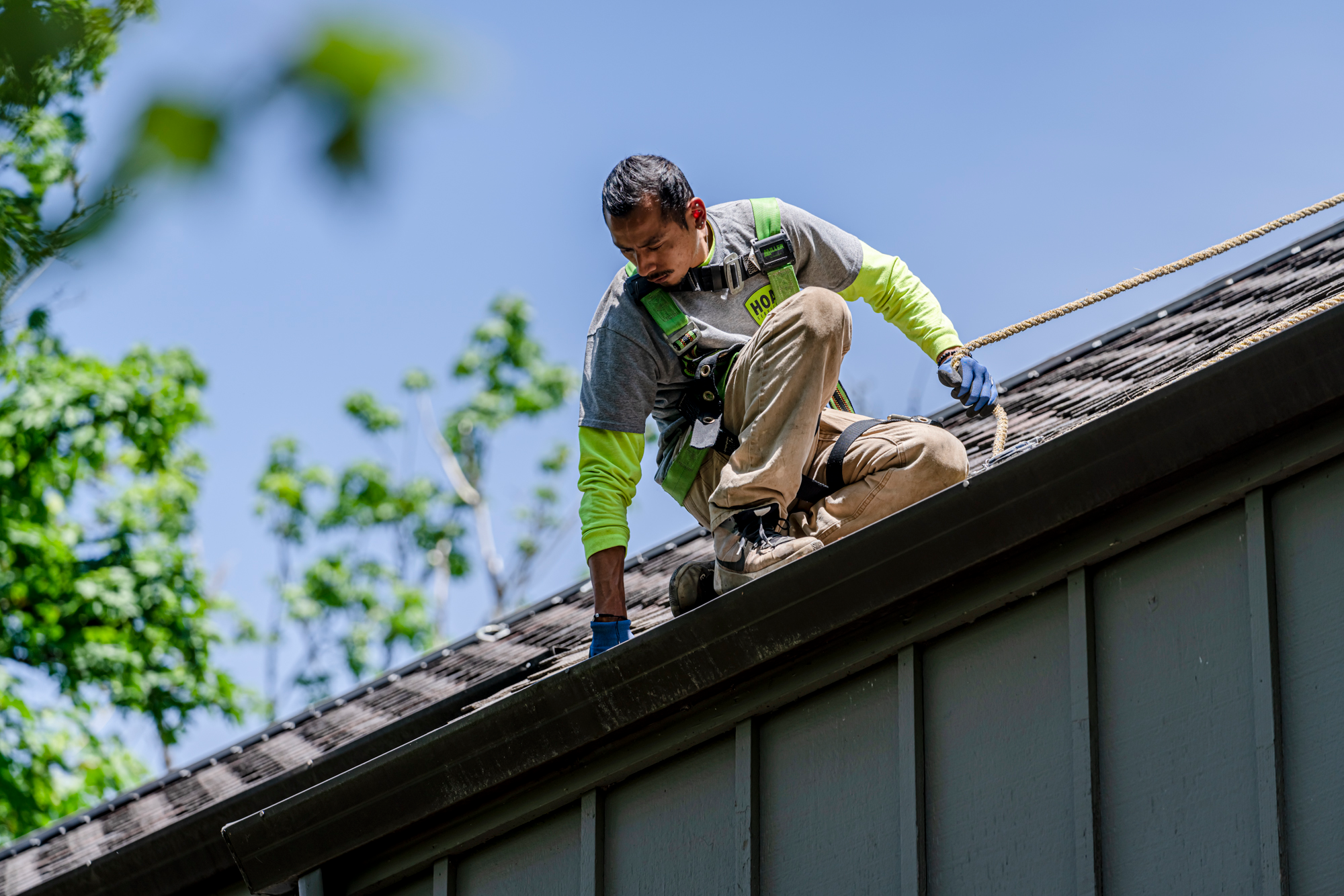 Roof Clean 1