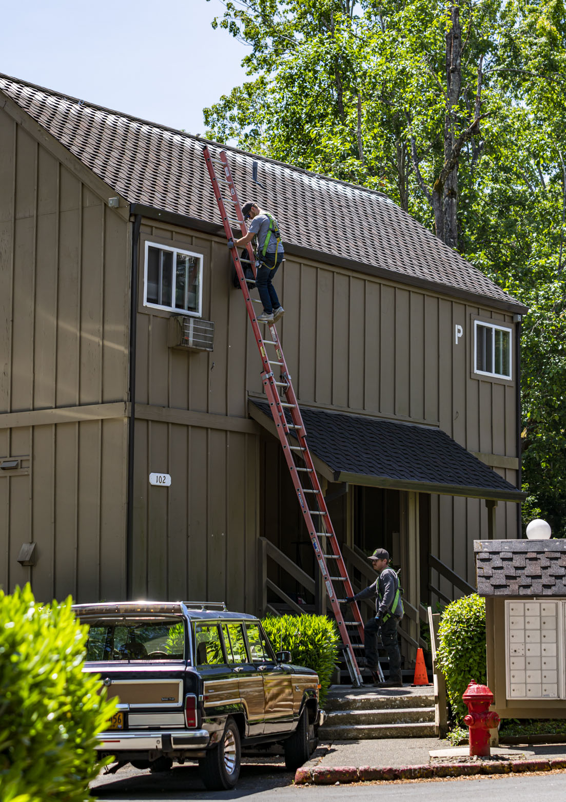 Roof Clean 3