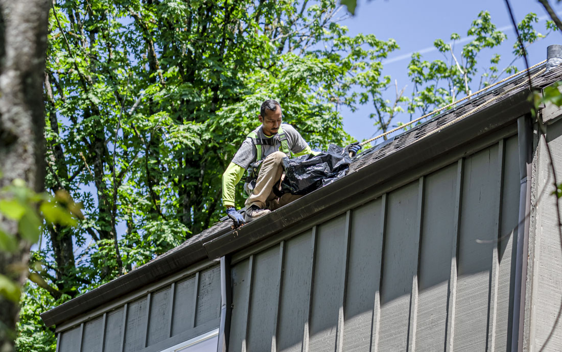 Roof Clean 4