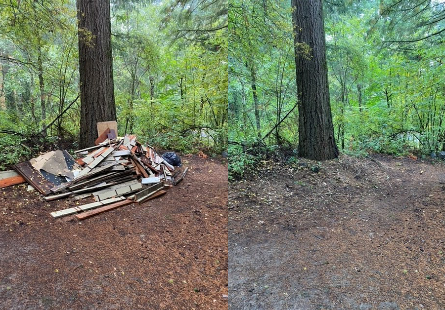 Debris photo before and after removal