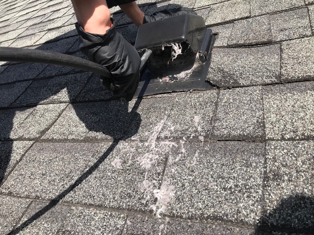 IMG_5959 Dryer vent cleaning services even for vents on roofs