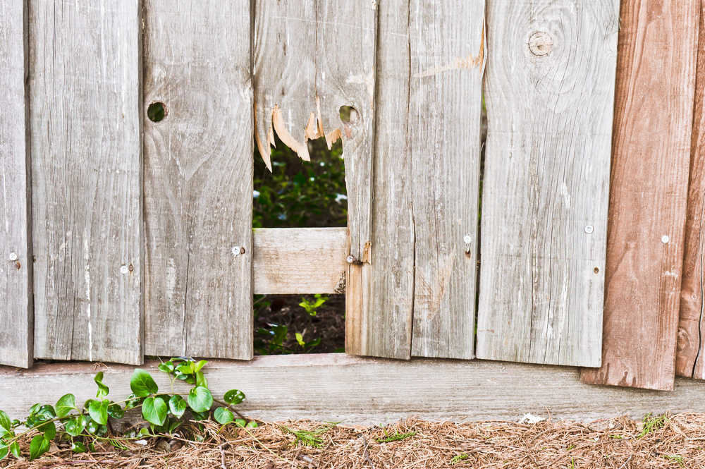 Why You Should Consider Professional Fence & Gate Repair