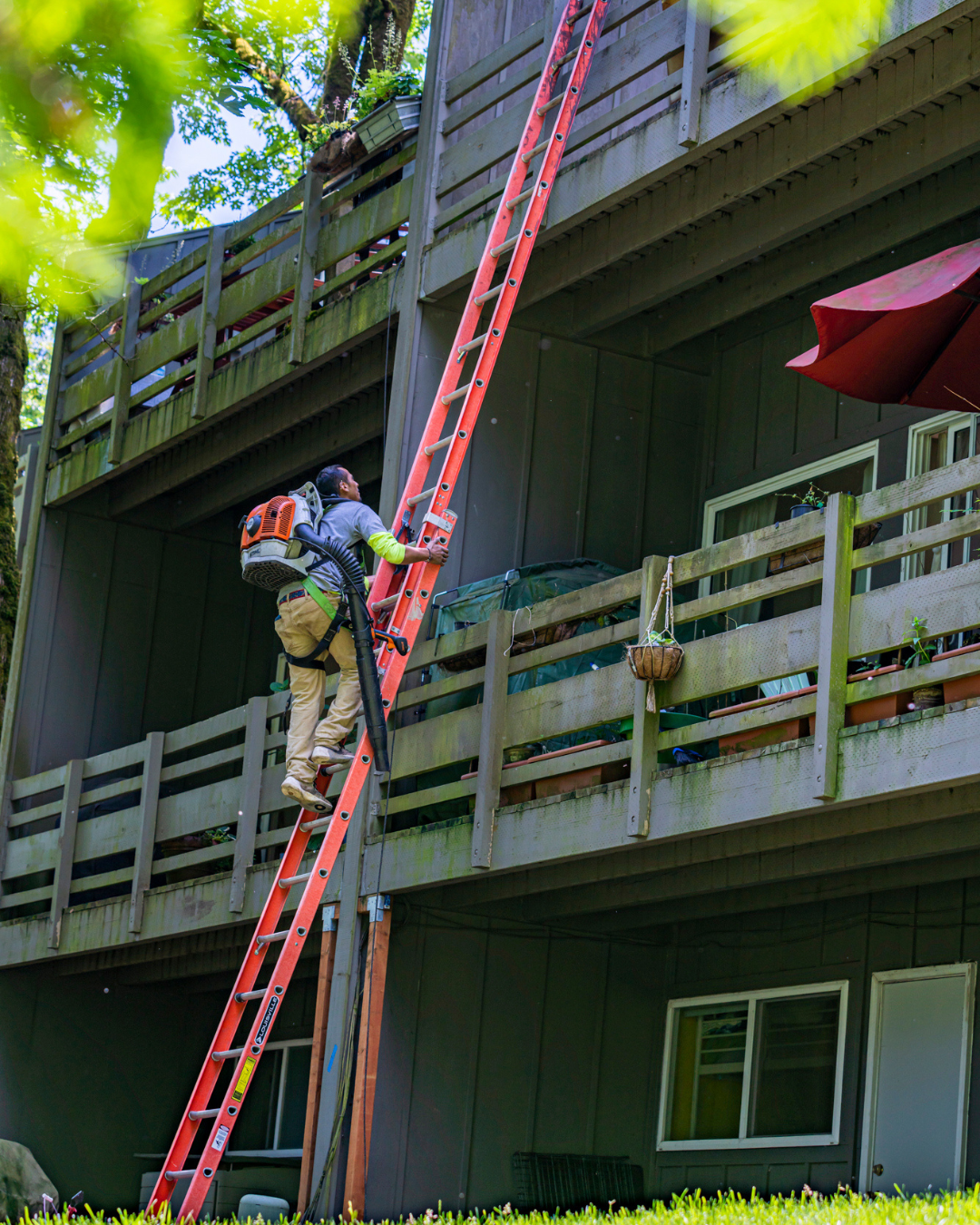 maintenance technician on ladder