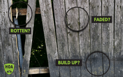 End-of-Summer Wear & Tear: Is Your Fence Ready for Fall?