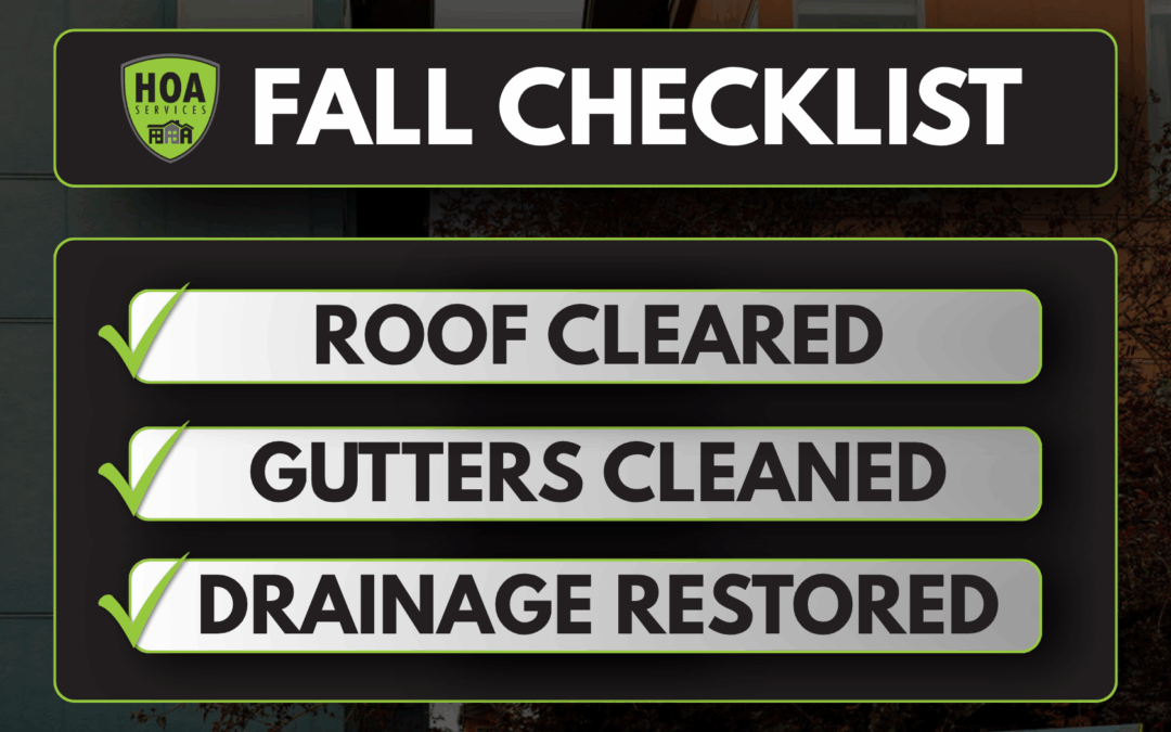 How Gutter and Downspout Cleaning Prevents Leaks After the Leaves Fall