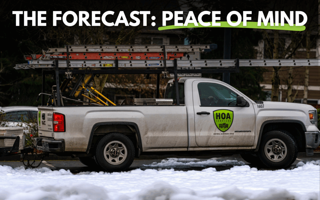 Your Property Safety Subscription Plan