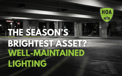 Bright Lights Build Better First Impressions