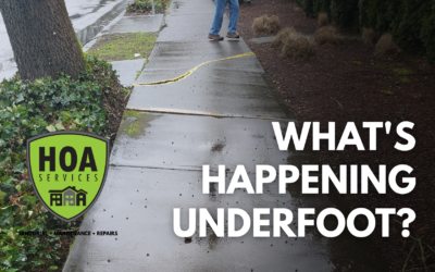 The Hardest-Working Surface on Your Property