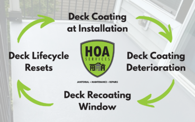 The Lifecycle of a Deck (And Where Most Go Wrong)
