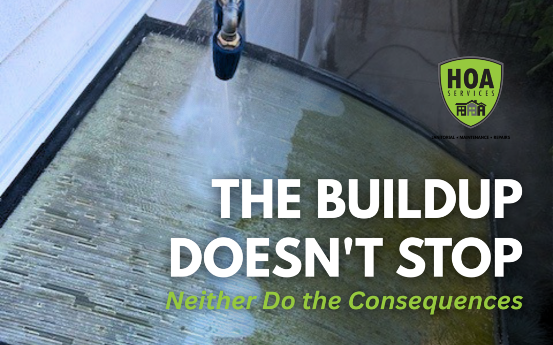 What Happens When You Skip Pressure Washing: A Surface-by-Surface Breakdown